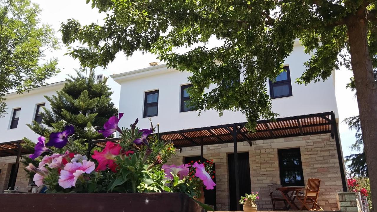 Sivota Apartments Athina מראה חיצוני תמונה