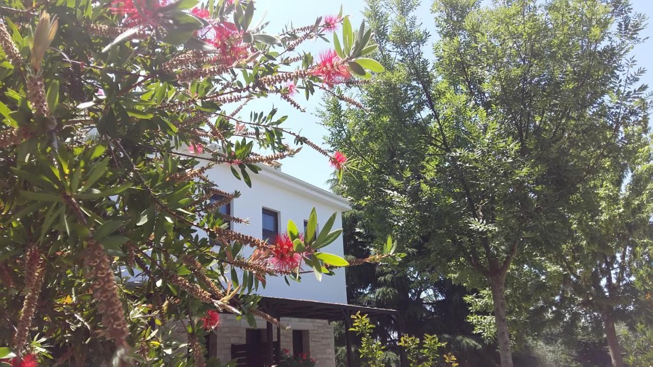 Sivota Apartments Athina מראה חיצוני תמונה
