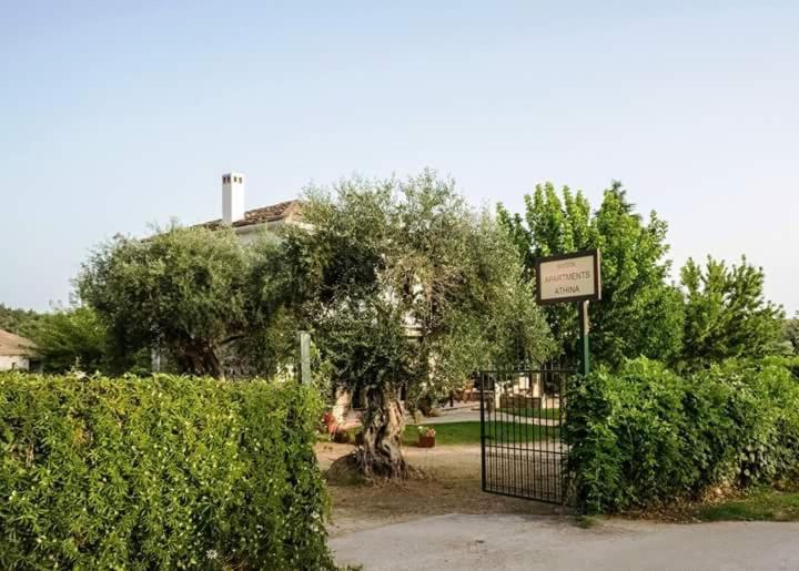 Sivota Apartments Athina מראה חיצוני תמונה
