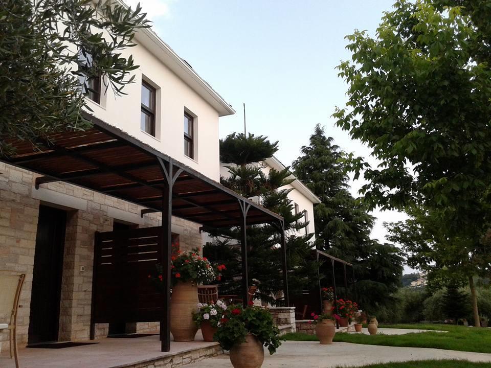 Sivota Apartments Athina חדר תמונה